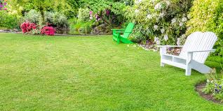 Once the grass seedlings have appeared, you can lessen the frequency and increase the amount. What Is The Best Lawn Type For Your Home Bunnings Warehouse
