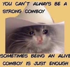 Cat memes cowboy meme singing hat kitty crying cats today song funny talking humor cow know junkee come side kittens. Pensive Crying Cat Know Your Meme