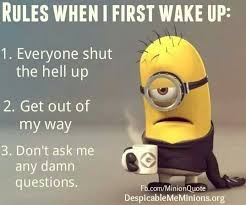 Rules When I First Wake Up Funny Good Morning Memes Morning Quotes Funny Funny Minion Quotes