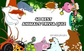 Every item on this page was chosen by a woman's day editor. 40 Animal Trivia Questions With Answers Tabloid India