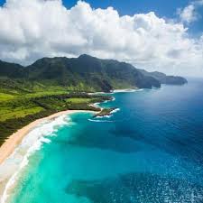 Logan Willey and Peter Buas's Wedding Registry