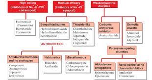Pin By N Bhargavi Sai Krishna On Health Education Pharmacology Nursing Medical School Studying Medical Knowledge