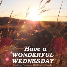 Have A Wonderful Wednesday