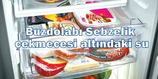 Özellikle raflara çok fazla ürün yerleştirmeyin eve buzdolabının duvarı ile temasını engelleyin. Buzdolabi Sebzelik Cekmecesi Altindaki Su Birikmesi Neden Olur