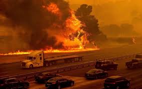 The industry will lean on that experience while. California Wildfires Claim Several Marijuana Farms Threatening Growers With Financial Losses