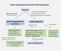 Hyperkalemia is a commonly encountered clinical problem. Treatment Of Crush Injuries Ems World