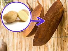 Emma, (remake) (pamela the potato goddess character.) 13 Ways To Use Potatoes Very Few People Know About
