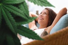 Maybe you would like to learn more about one of these? How Does Cbd Make You Feel And Will It Get You High Vaping360