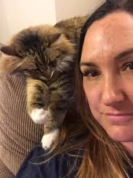 Lost Cat in Auburn, Washington, with $500 Reward