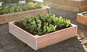Recommends practices to safely and effectively lower soil ph. Acid Or Alkaline Soil Modifying Ph Sunset Magazine