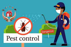 Landlords are responsible for pest control and keeping infestations away but there are situations where a tenant can have living behaviors that lead to an infestation and in those cases a tenant can be responsible. Know The Importance Of Professional Pest Control Services By Green Valley Pest Control Ltd Medium