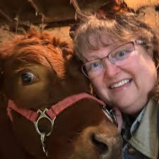 Should I replant daffodil bulbs now or in the fall?