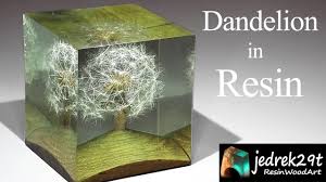 There are several ways to accomplish this you can embed any dried flower and add color (or even glitter) to the resin for an endless number of project possibilities. Dandelion In Resin Art Resin Youtube