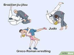 3 Ways To Begin Mixed Martial Arts - Wikihow