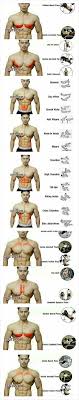 Abs Workout At Home Abs Workout Bodybuilding Abs Workout Youtube Ab Workout Routine Ab Exercises For Beginn Chest Workouts Abs Workout Routines Abs Workout