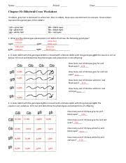 Dihybrid cross practice practice solving dihybrid crosses. Thomas Kennedy Dihybrid Name Period Date Chapter 10 Dihybrid Cross Worksheet In Rabbits Gray Hair Is Dominant To White Hair Also In Rabbits Course Hero