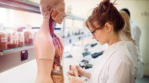 20% de nuestras familias no pagan nada. Cual Es El Perfil Que Requiere Un Estudiante De Medicina