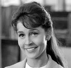 Television's New Frontier: The 1960s: The Many Loves of Dobie Gillis (1962)