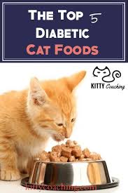 Oats are rich in soluble fiber, and are slower to digest than those processed carbs. Diabetic Cat Food Reviewed Our Top 5 Picks 2018 Diabetic Cat Food Cat Food Reviews Dry Cat Food