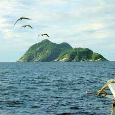 Ilha da queimada grande in brazil, widely known as snake island, is one of the deadliest islands in the world. Snake Island Ilha Da Queimada Grande Brazil Atlas Obscura
