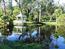 Idyllic Wedding Setting Water Garden