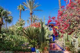 Beautiful garden created by the painter jacques majorelle in marrakech who lived from 1924. Camel Ride And Marrakech Garden City Marrakech Private Tours Gowithguide