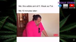 Fatally Stoned Weed Memes And Fail Compilation 64 Pot Tv