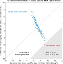 Check spelling or type a new query. Spherical Arena Reveals Optokinetic Response Tuning To Stimulus Location Size And Frequency Across Entire Visual Field Of Larval Zebrafish Elife