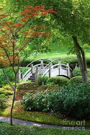 Fort Worth Botanic Garden Texas Great For Picnics Or Walking Or Even Just Relaxing Botanical Gardens Japanese Garden Wedding Venues Texas