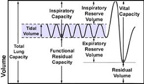 Medical Pharmacology Physics And Anesthesia