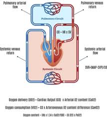 Image result for Cardiac Output