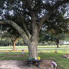 Check spelling or type a new query. Houston Memorial Gardens 2426 Cullen Blvd Pearland Tx Funeral Homes Mapquest