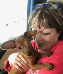 Momma here~we have no idea how Stella~Rose' eye was injured. She was 2  months old and picked up as a stray with the horrific injury by TMAS in our  city. We had