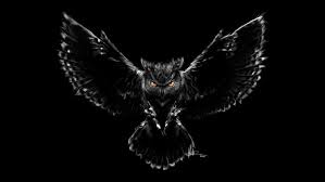 Azam nur mujizat, penyanyi cilik yang tak memiliki kelopak mata ini sangat. Mimpi Buruk Burung Hantu Hitam Menakutkan Wallpaper Hd Wallpaperbetter