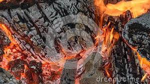 Burning Woods And Flames In The Fireplace Heat Flames Photo