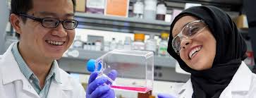 Summer Research Early Identification Program