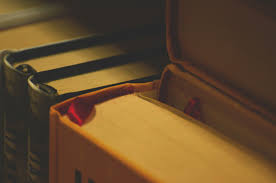 Abigail Images – Browse 238 Stock Photos, Vectors, And Video | Adobe Stock