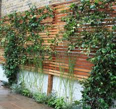 Modern Garden Trellis Design Pdf Modern Garden Trellis Garden Trellis Designs Modern Garden Design