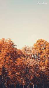 Check spelling or type a new query. Free Download Autumn Wallpaper Desktop Mobile Autumn Desktop Download Free Mobile Q Autumn Phone Wallpaper Fall Wallpaper Halloween Wallpaper Iphone