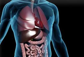 Magnesium Health Benefits Uses Side Effects Dosage Interactions