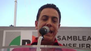 Periódico Cocodrilo: 2010