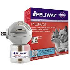What Are Reddit S Favorite Cat Relaxants
