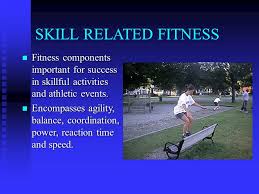 Quiz which has been attempted 9400 times by avid quiz takers. Skill Related Components Of Physical Fitness Agility Agility Balance Balance Coordination Coordination Power Power Reaction Time Reaction Time Speed Speed Ppt Download