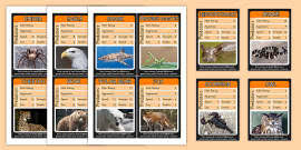 Make your own unique trumps game normally made with 36 cards in a pack. Highest Value Card Game Template Free Download Twinkl
