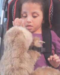 Kennedy Ameirah Martha Brothers Obituary May 11, 2025