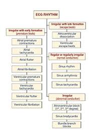 Anesthetic Monitoring Therapeutic Actions Todays