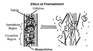 Lignocellulosic biomass has been recognized as promising feedstock for biofuels production. Schematic Presentation Of Effects Of Pretreatment On Lignocellulosic Download Scientific Diagram