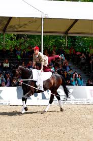 Signup as a voice talent. Kreischalarm Im Derby Park Dsds Stars Und Rafael Van Der Vaart Auf Pferdebesuch Reitturniere De News Ergebnisse Turnierkalender Ranglisten