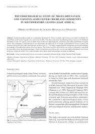 Image result for Bertiera aethiopica