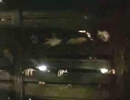 The Vault of Horror: Retro Review: The People Under the Stairs